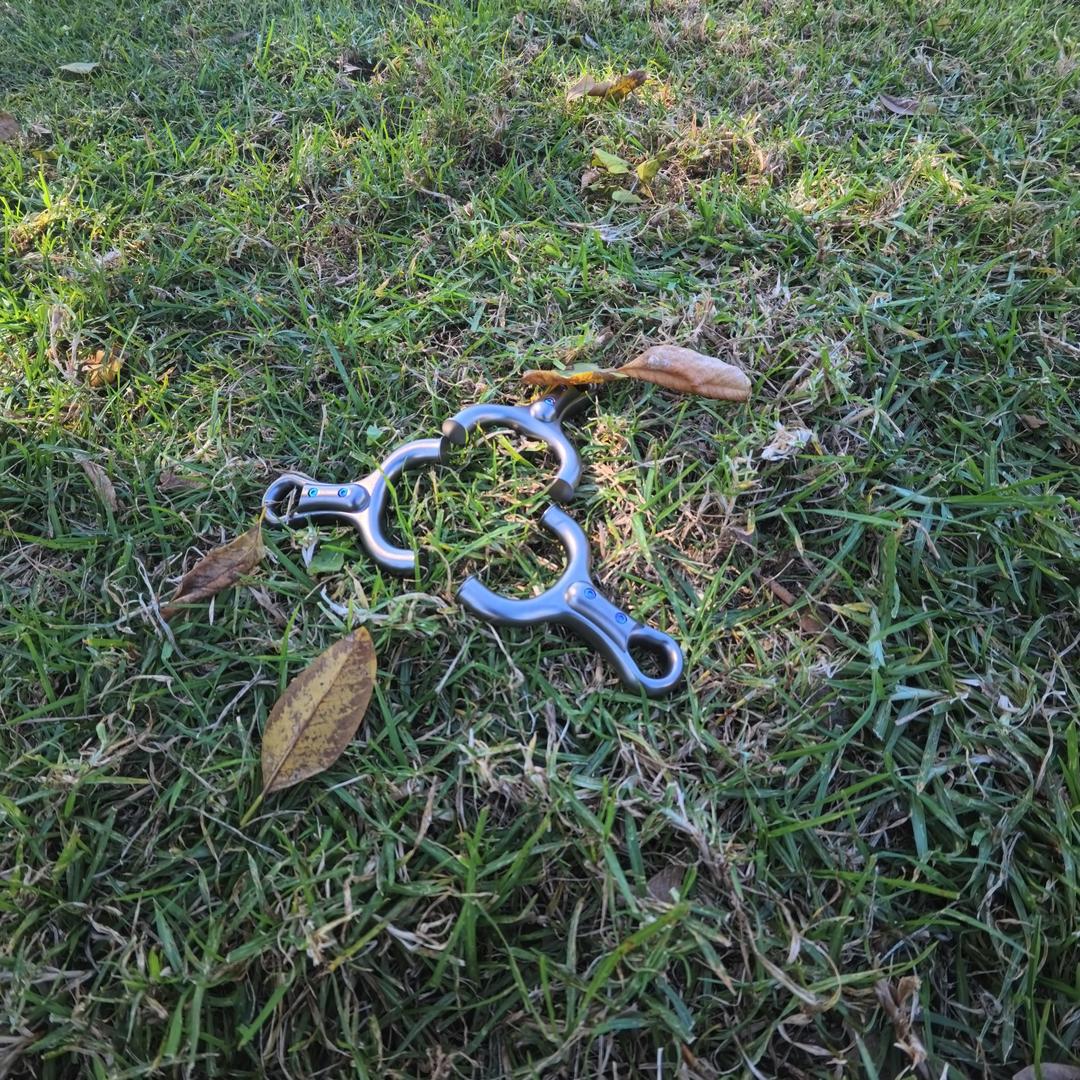 飞虎玩家（游龙飞虎）