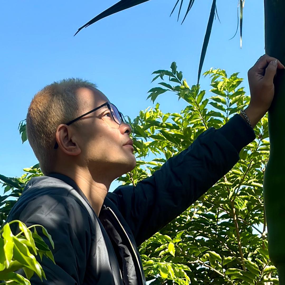 粤西小树