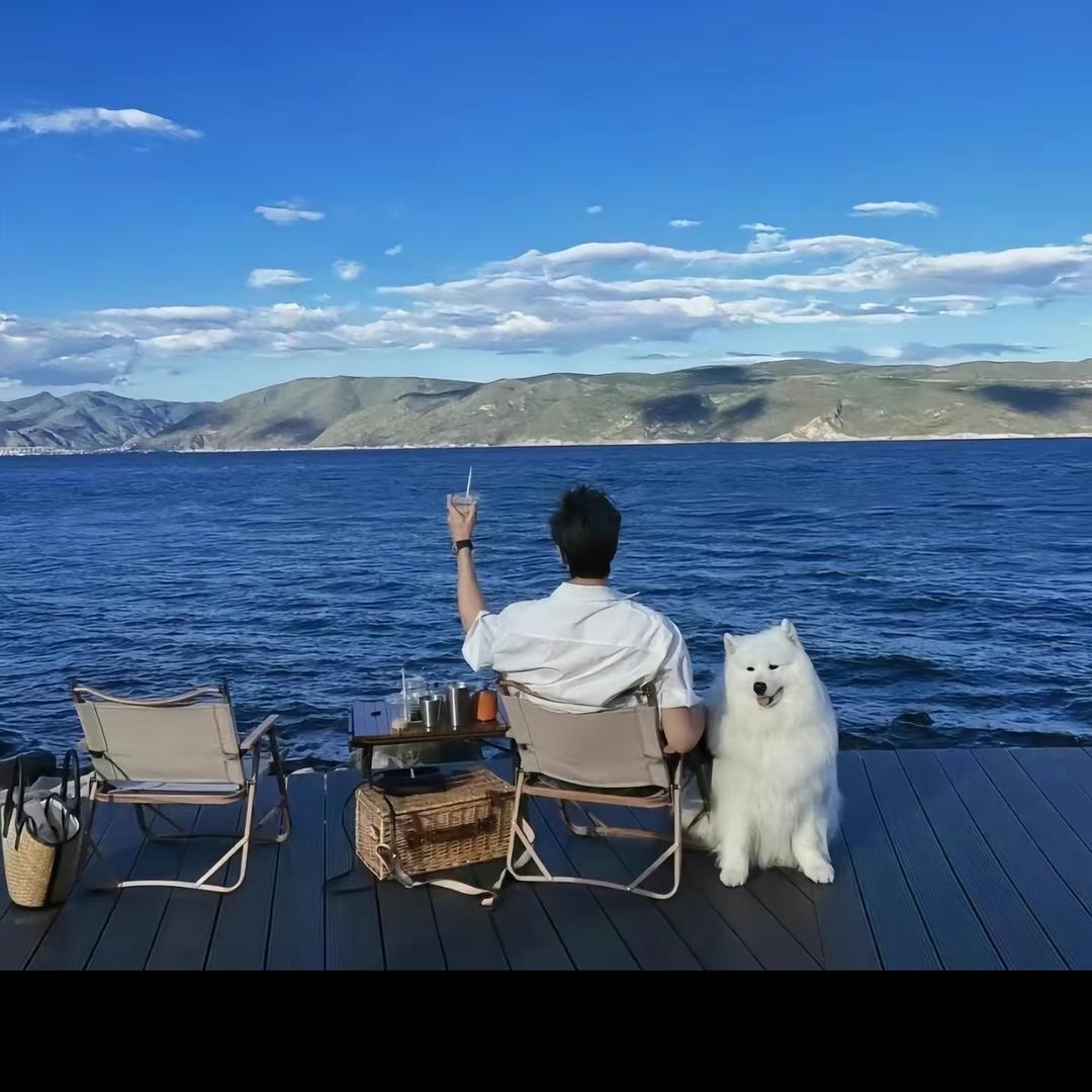 羊羊羊🐑🐑🐑🐑