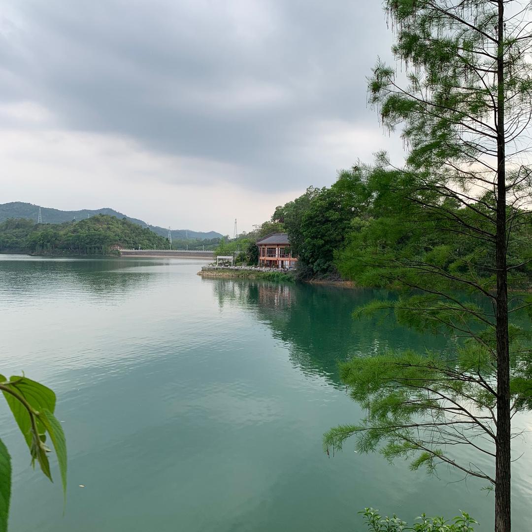 小凤