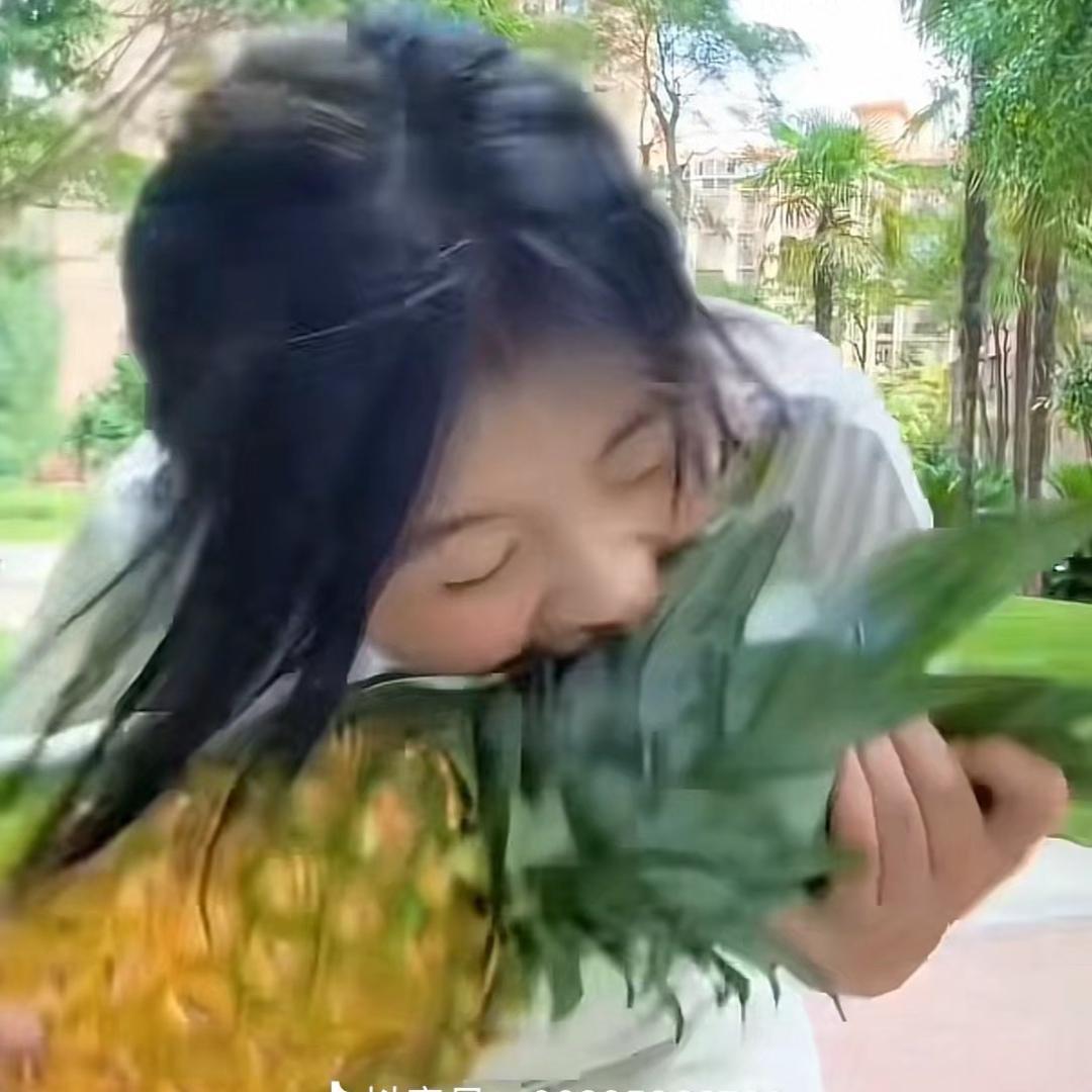 麻宝