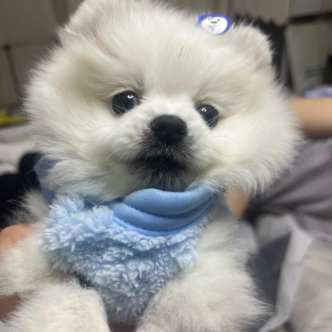 等风z