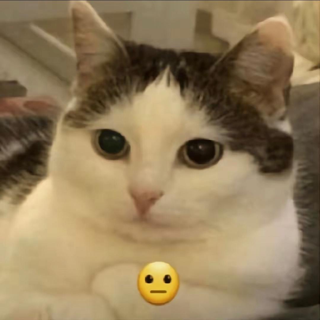 伊邀