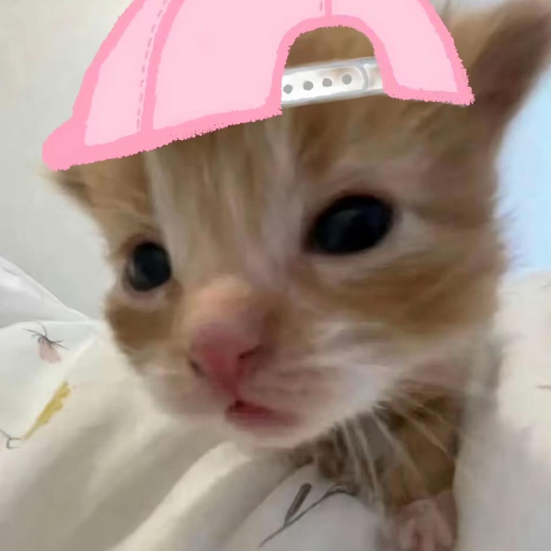 HEI