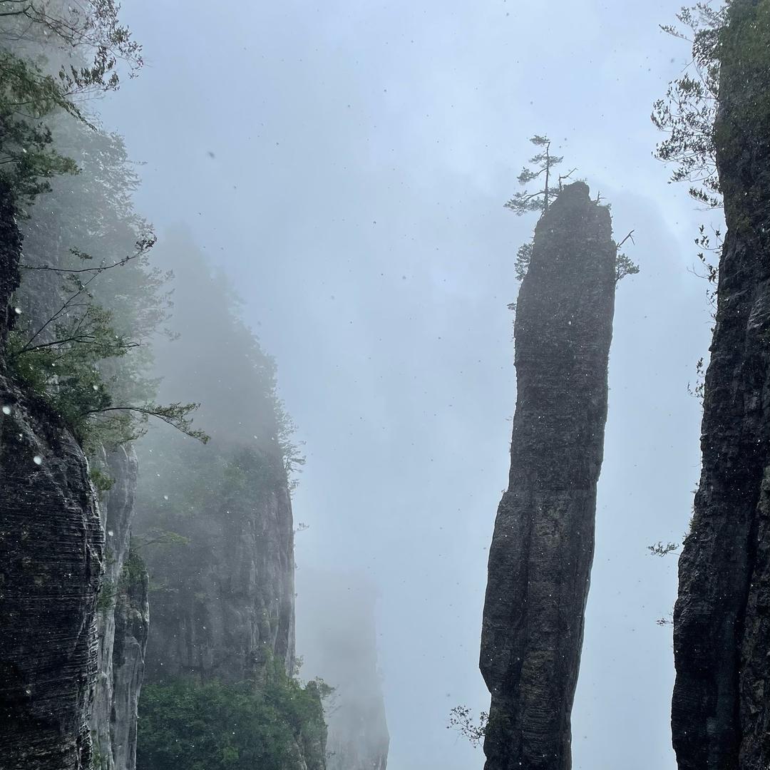 加长林肯