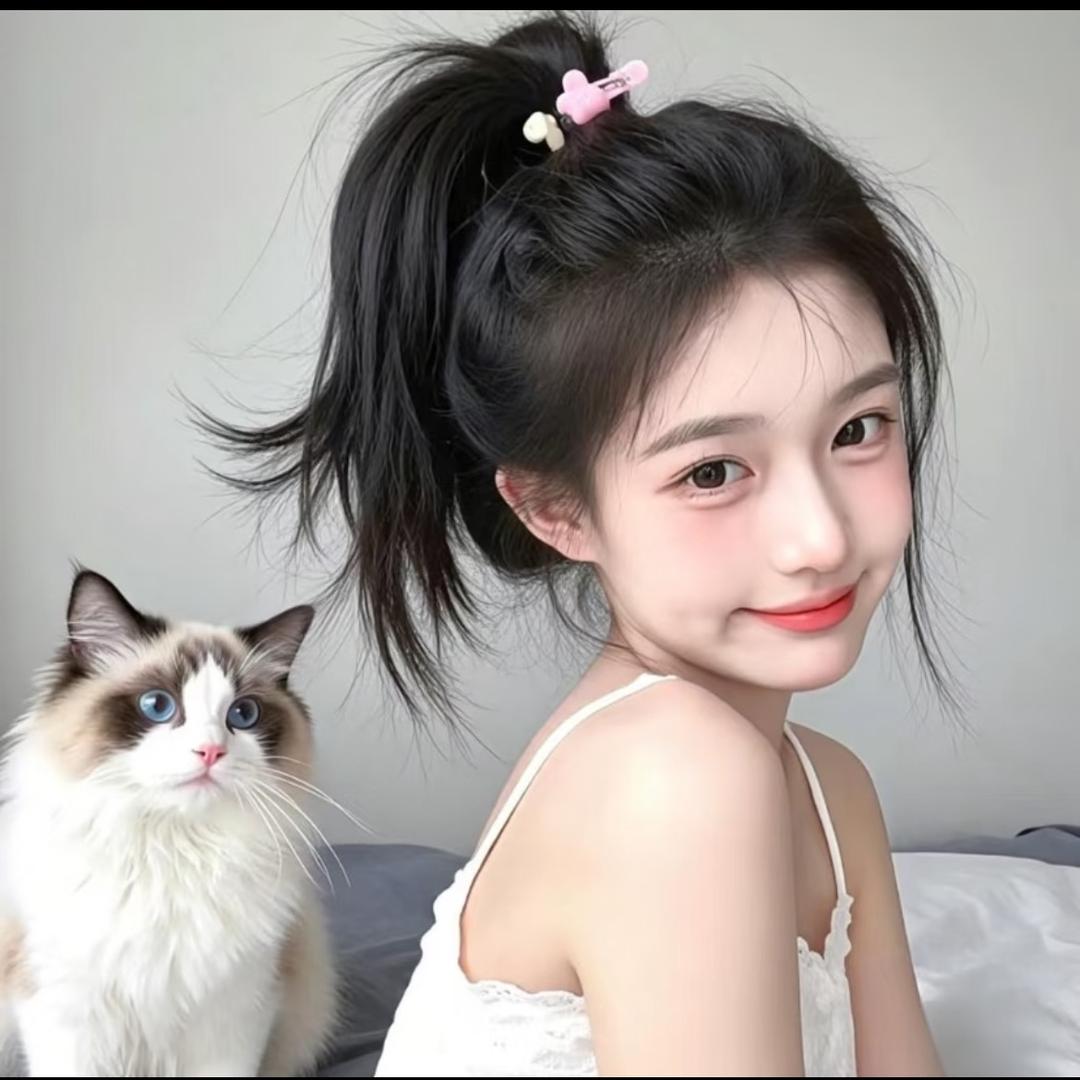 包包困了