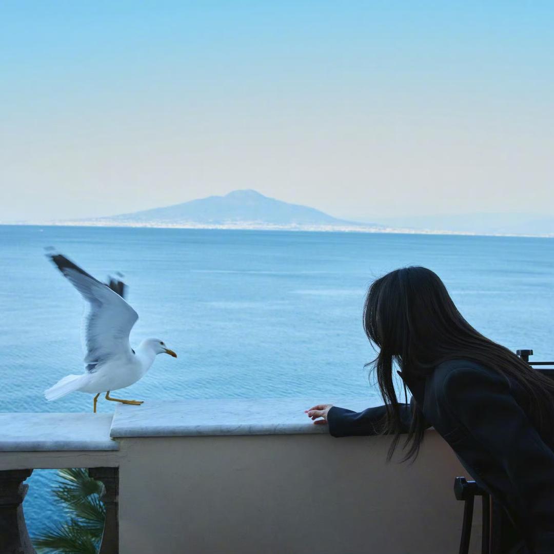 成虫