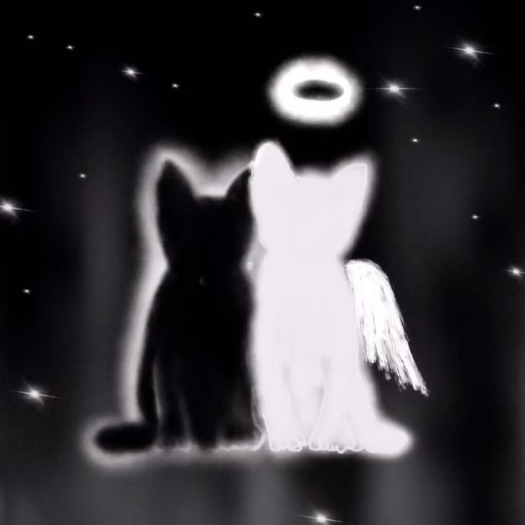 小木鱼（纯爱版）