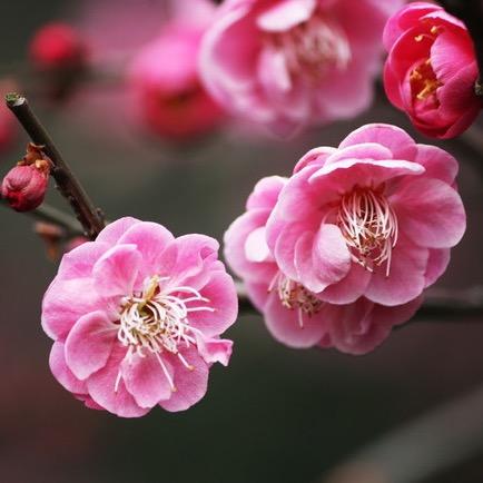 博日荣叔👨🏻