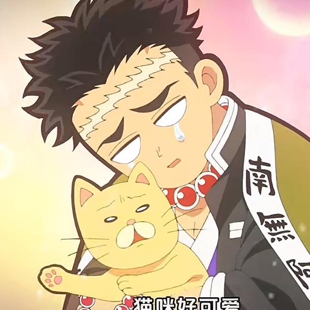 小猫抱在手里卡哇伊