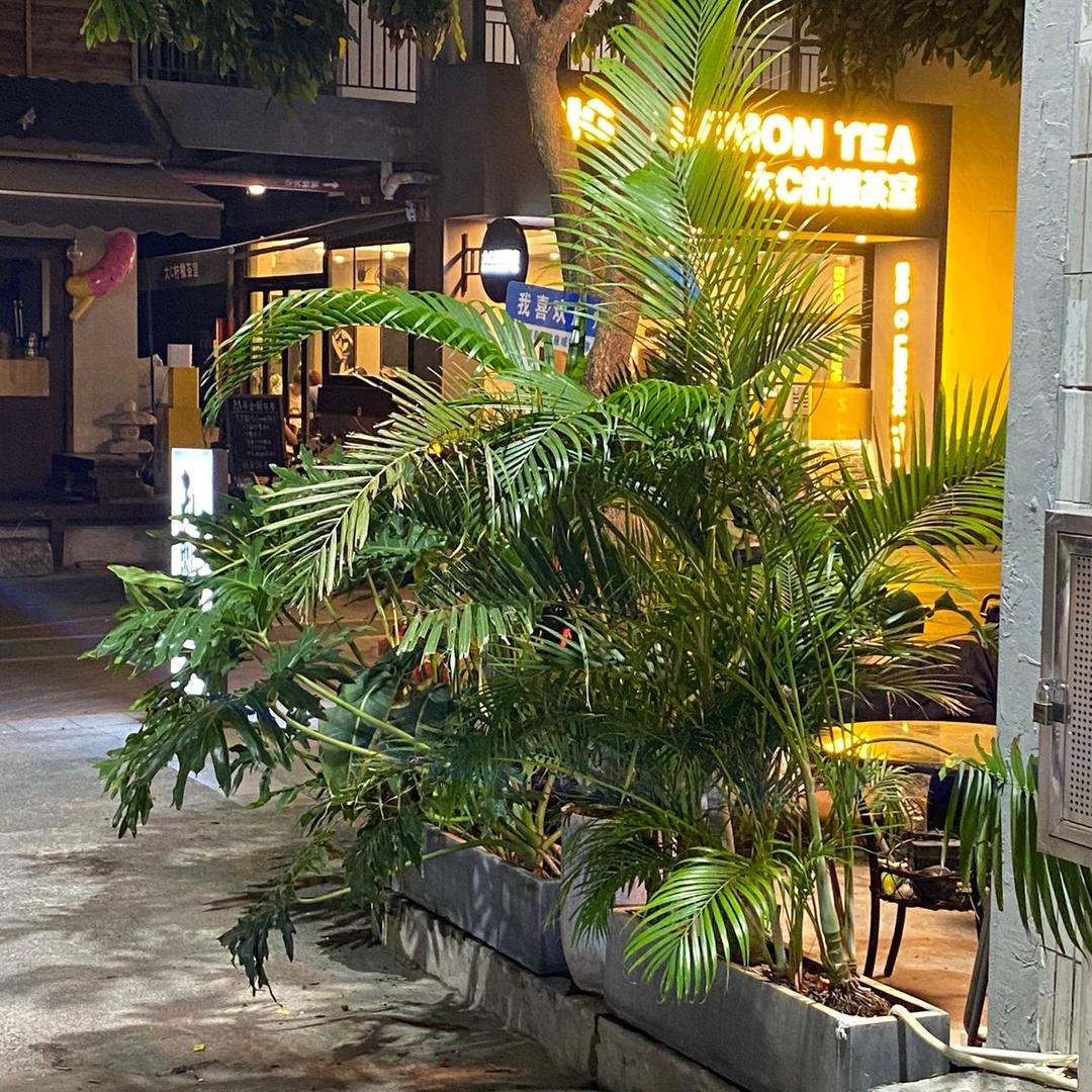 大哥哥🧍‍♂️