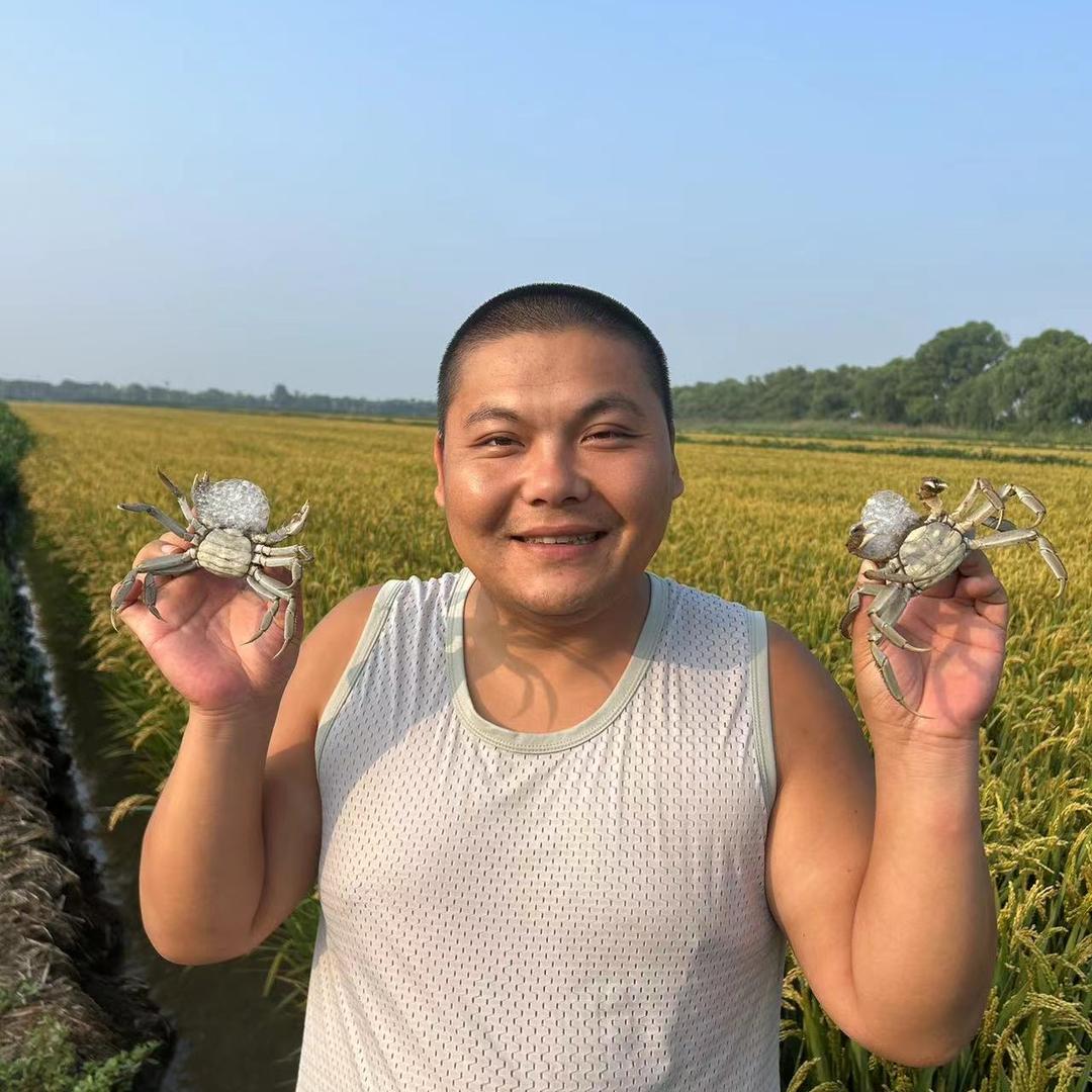盘锦唐艳河蟹