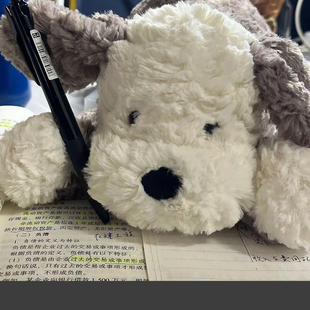 加恩