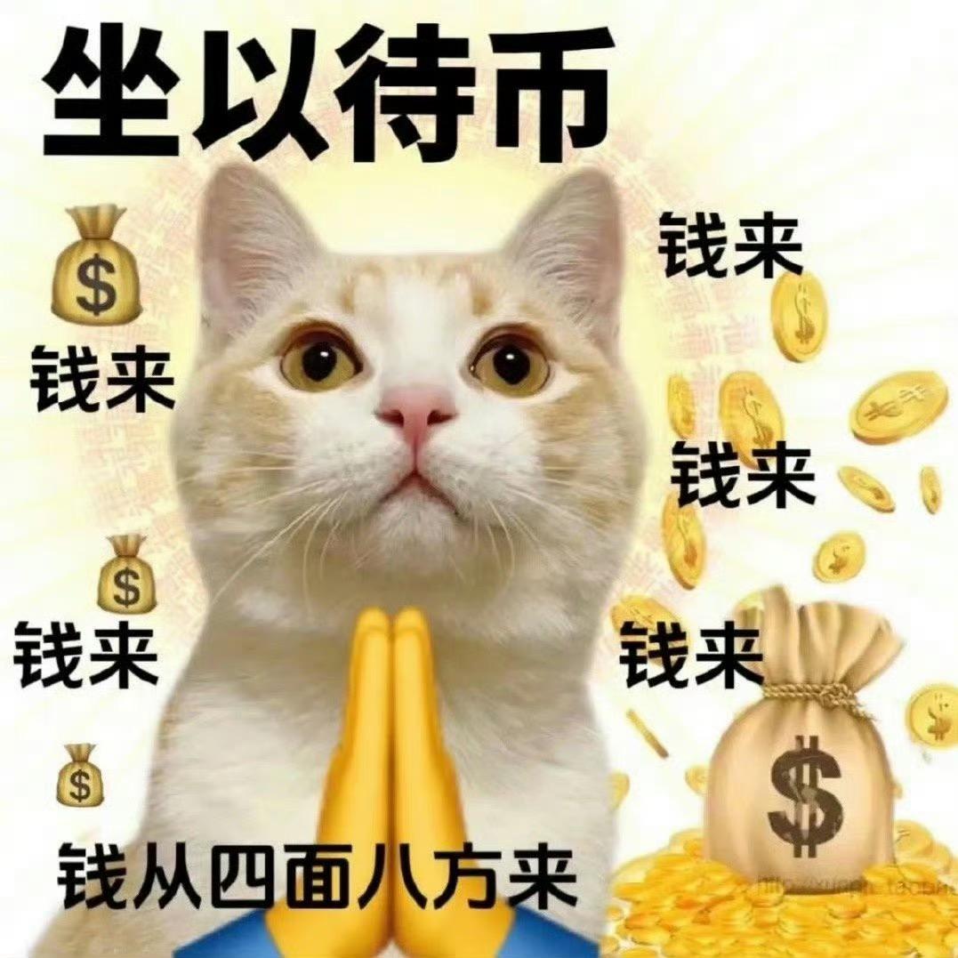 漂流的日记