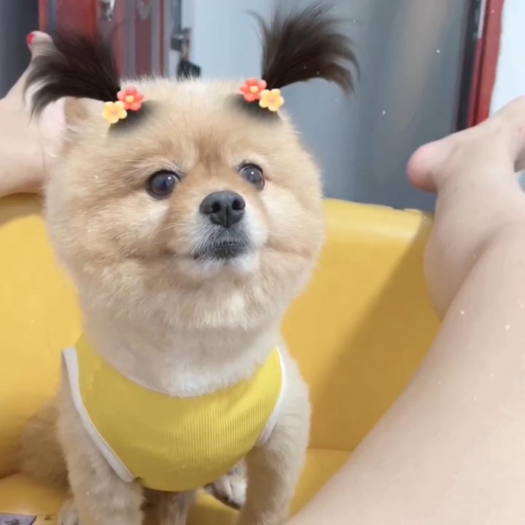 爱喝白开水