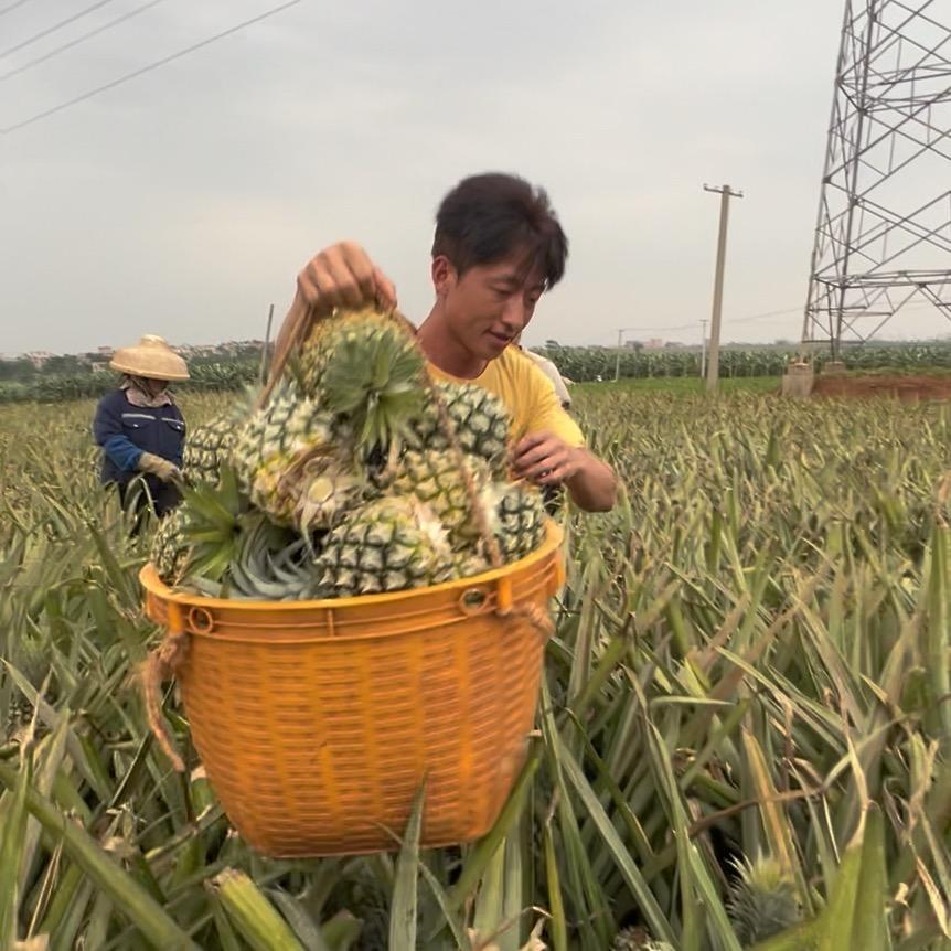 阿六