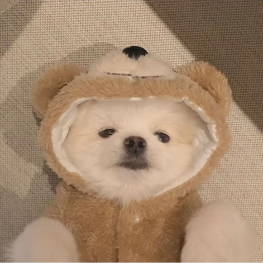 一颗楠楠