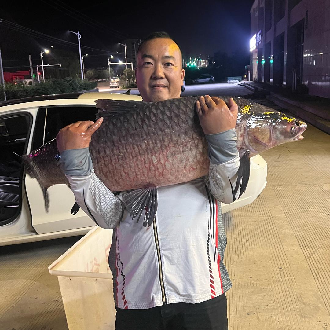 赖哥爱钓鱼.胡
