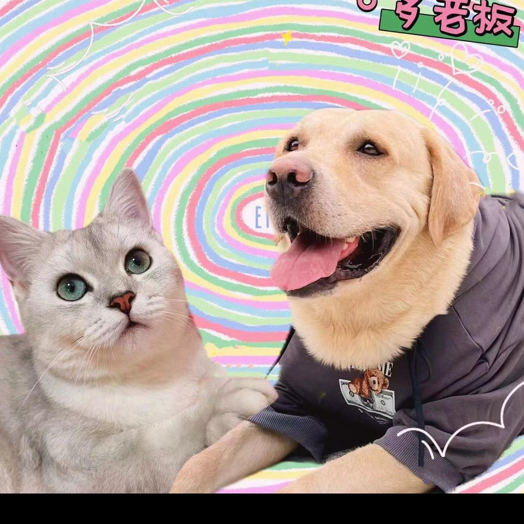 小咪姐本喵
