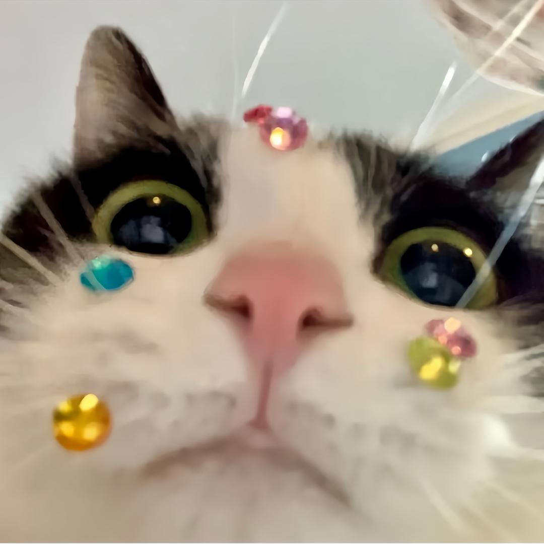 .Y