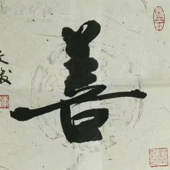 花花  橱窗有好物