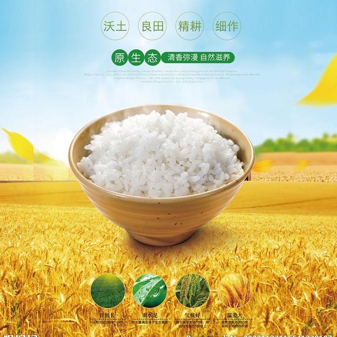 大米粮仓新号开播