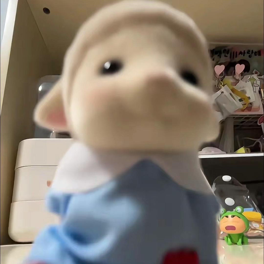 菠萝包