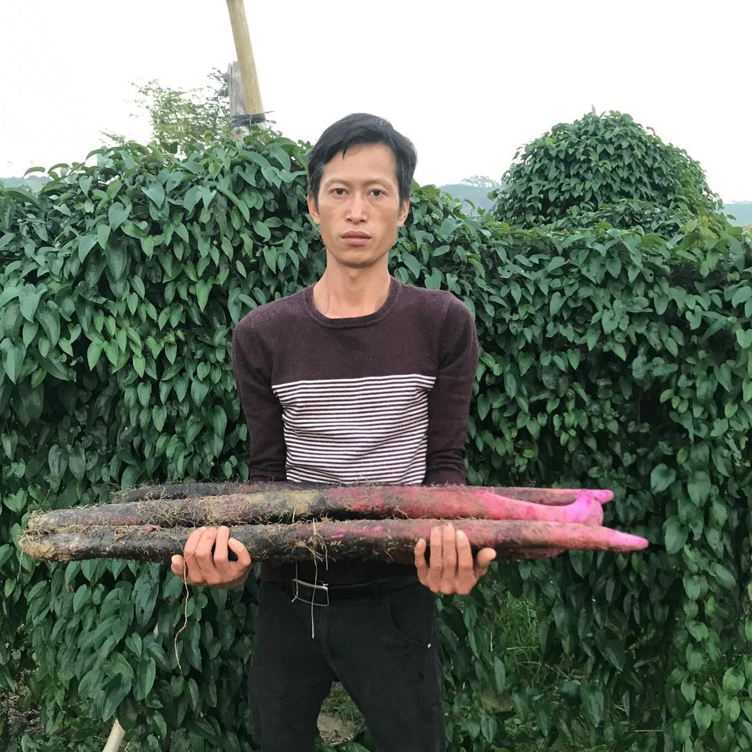 桂小农