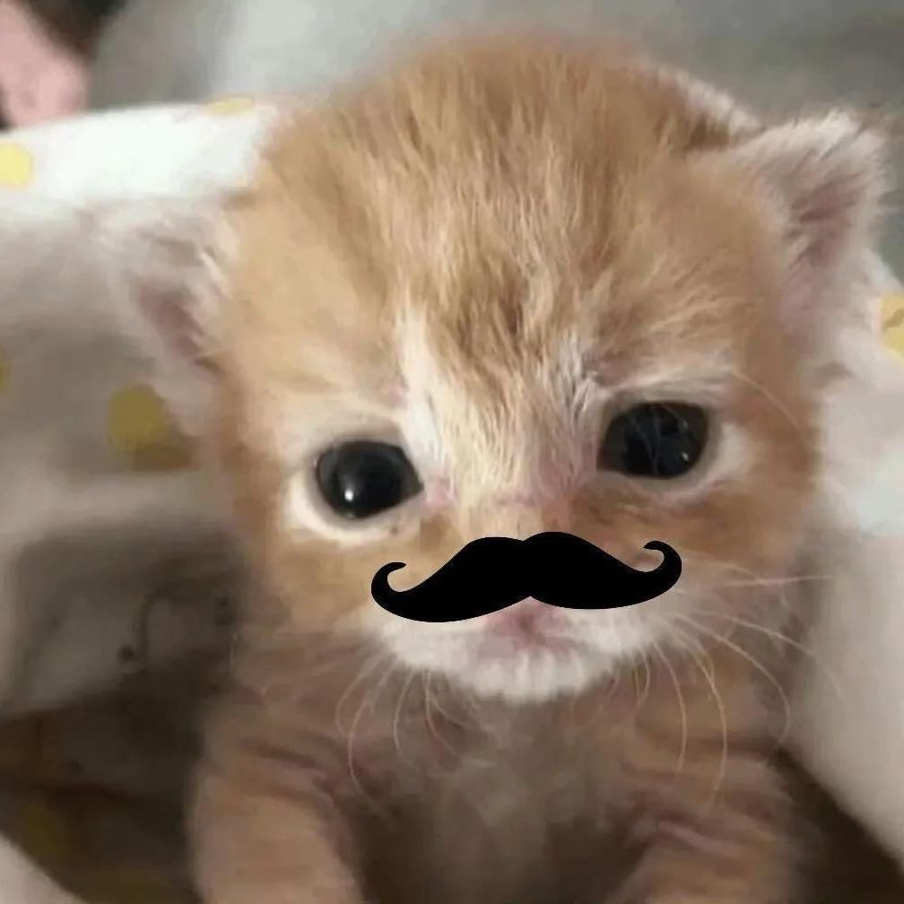 泪