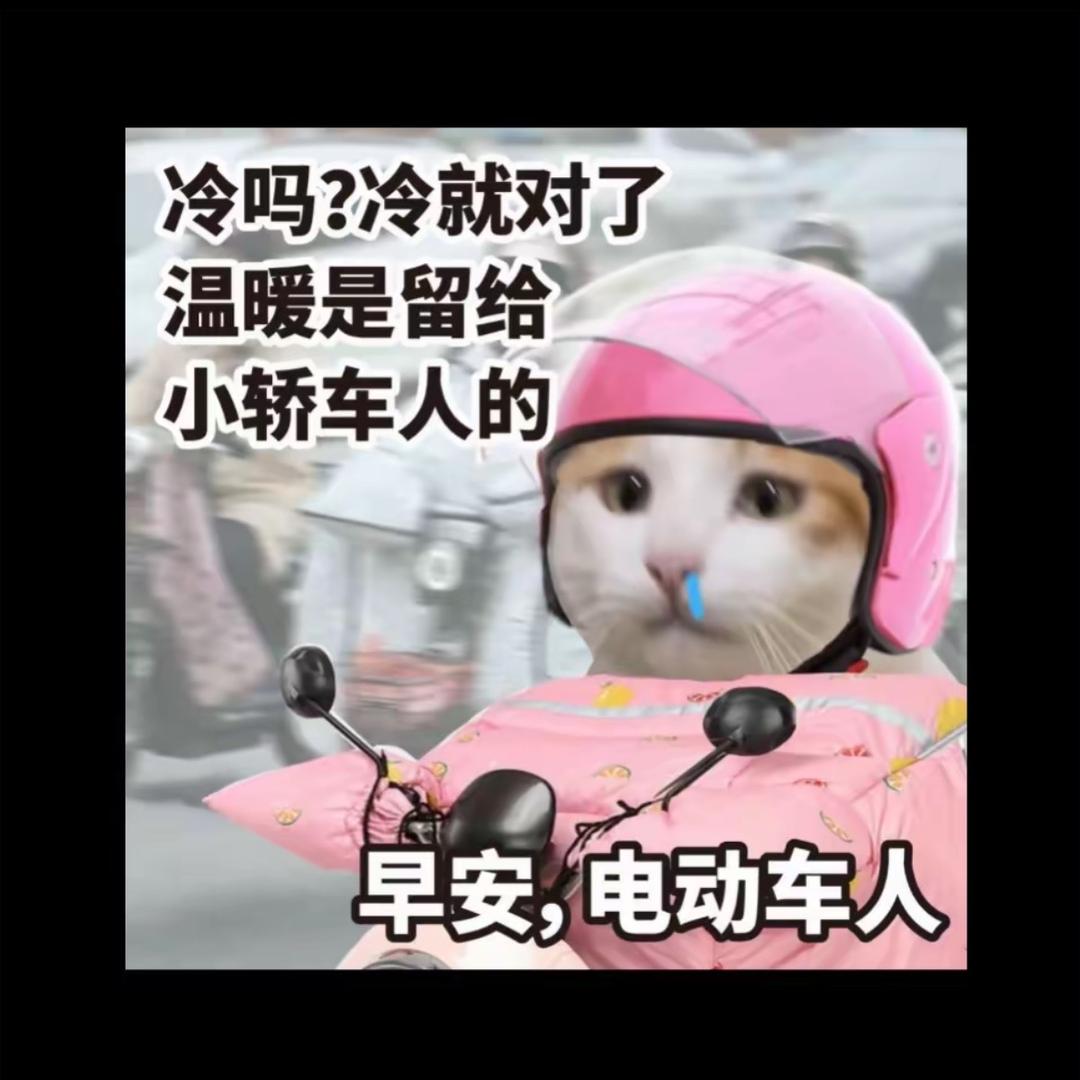 俩姐妹挡风被源头工厂A