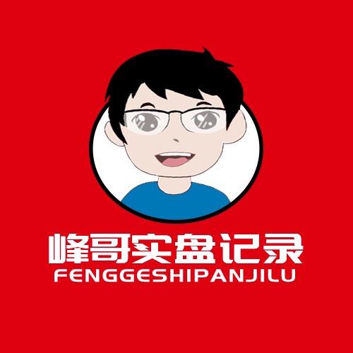 峰哥实盘记录