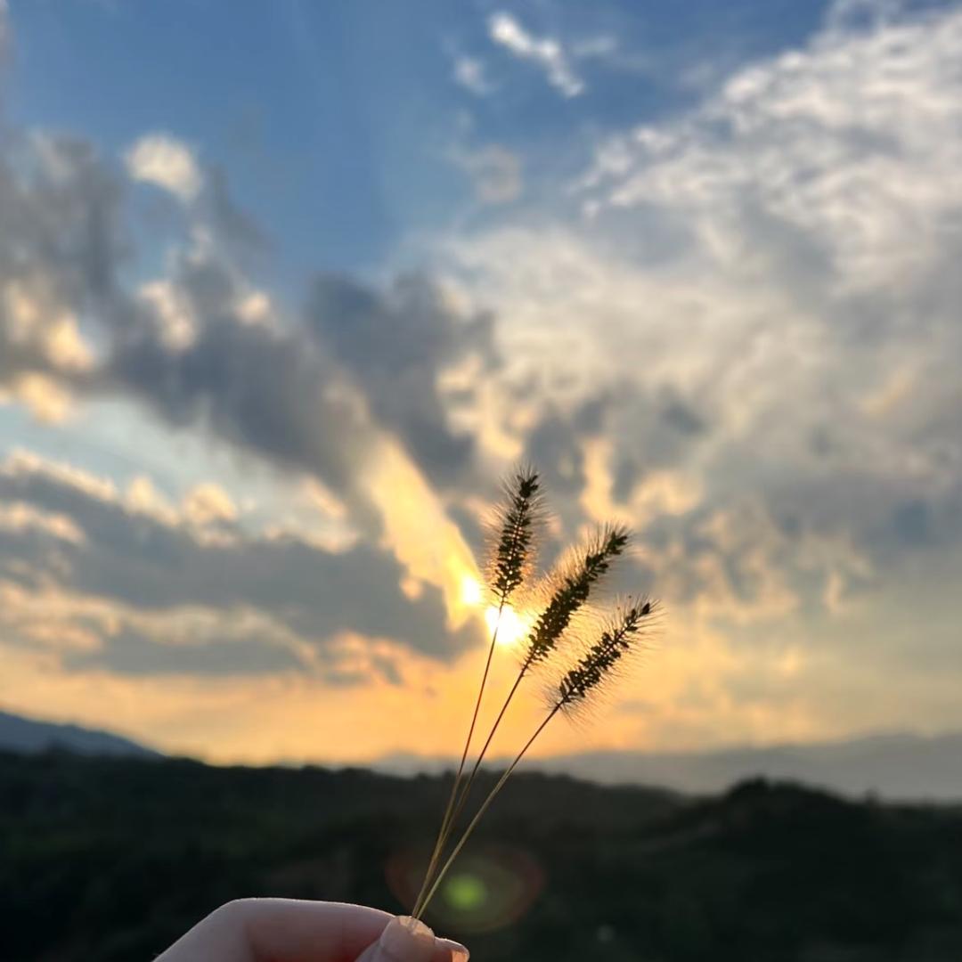 Lucky 潮玩公社