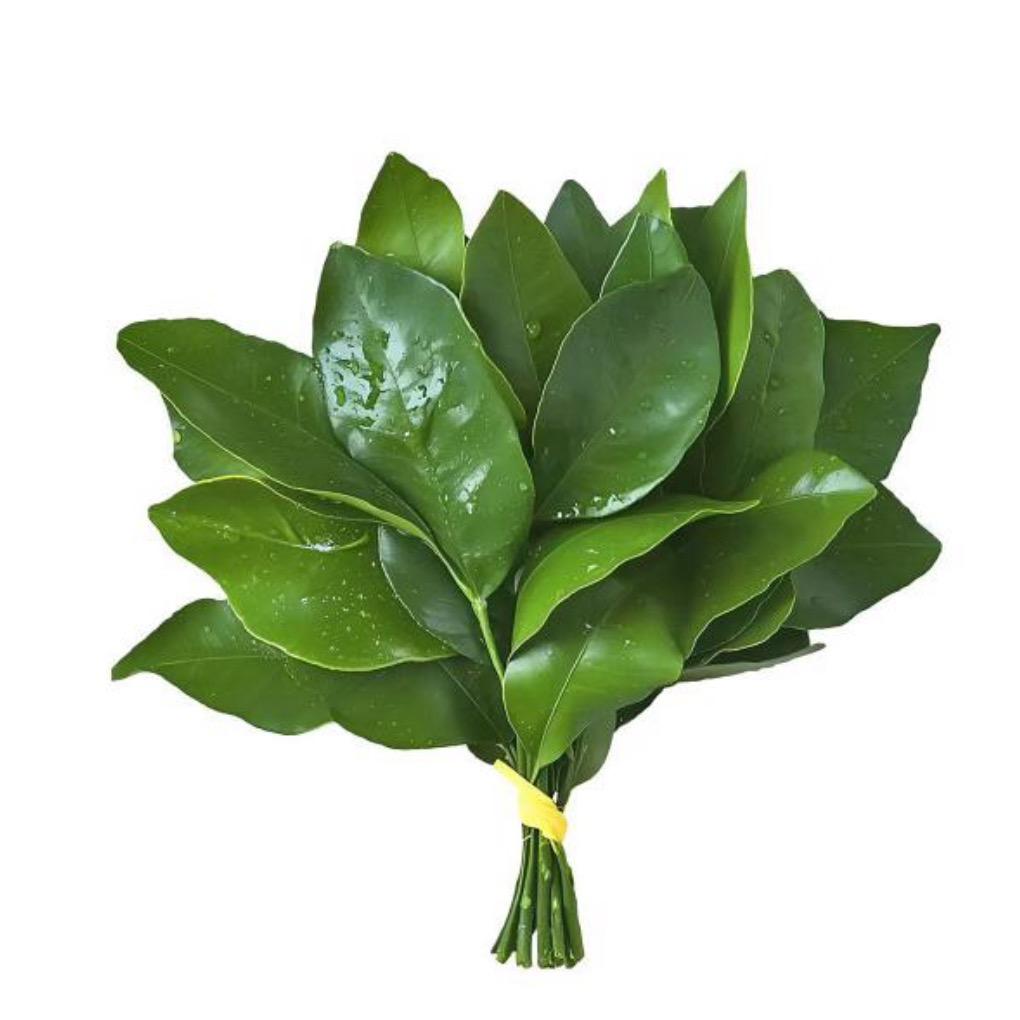 想吃芭菲