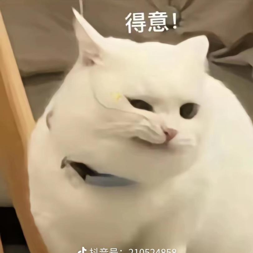 终南文化