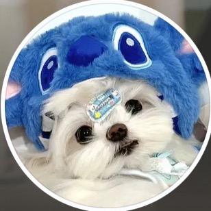 不爱睡觉💤