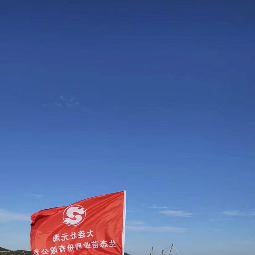 壮元海旗舰店