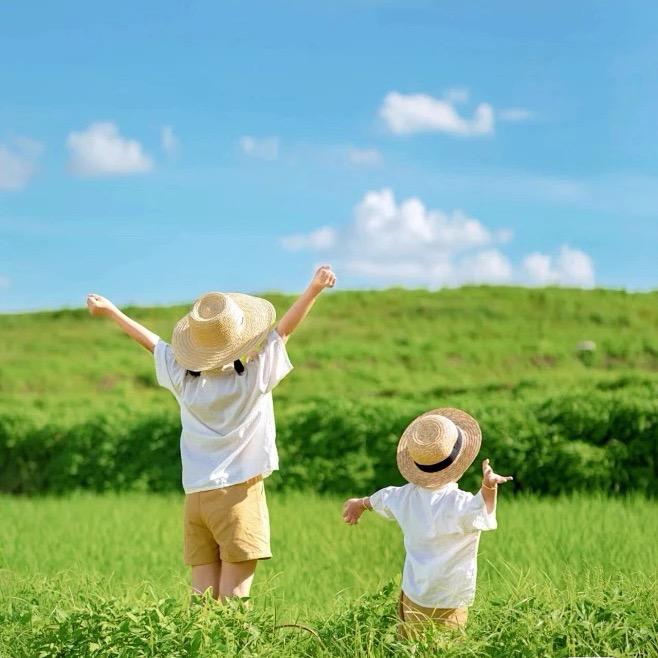 小学老师团推荐图书