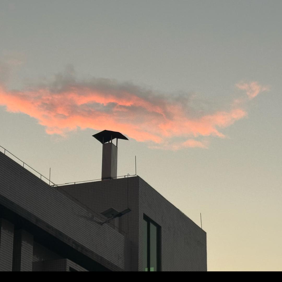 木木(回春丹和后浪见面版)