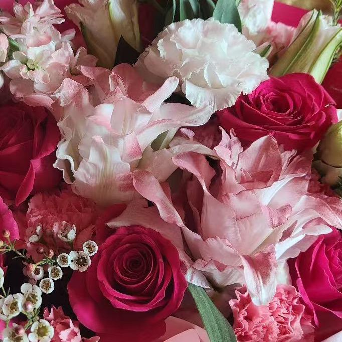 你喜欢的海棠花🌺