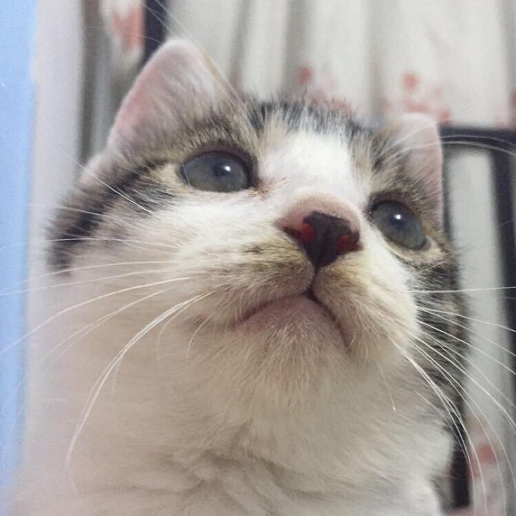 小南城