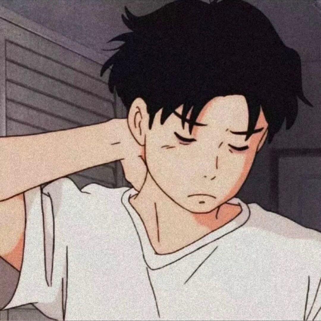 想养一只银虎缅因