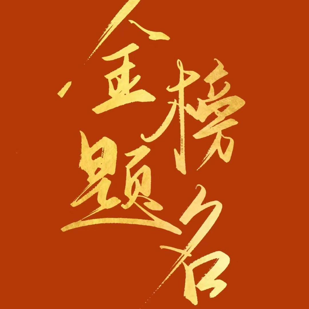 艺考规划林老师