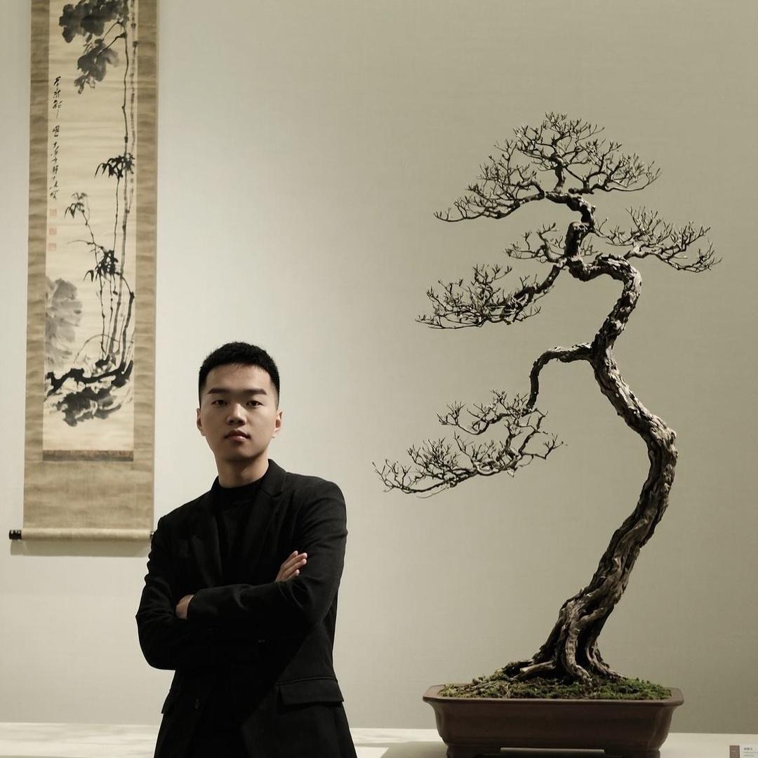 老羊与盆景