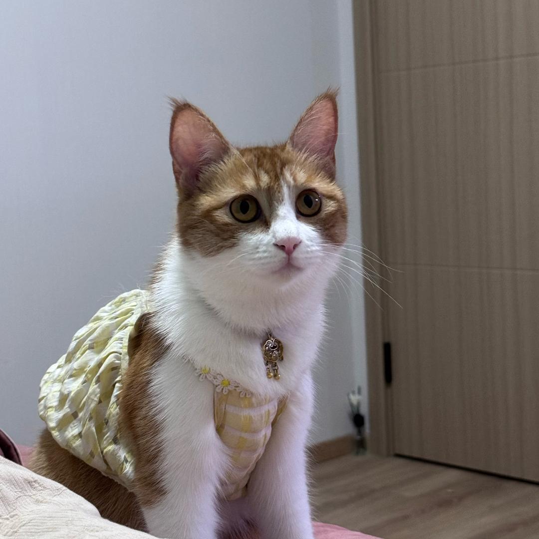头发乱了    .