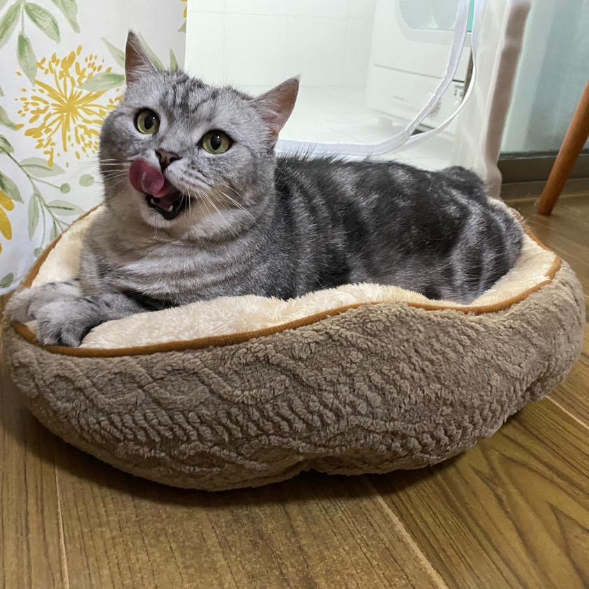 臭臭和短短