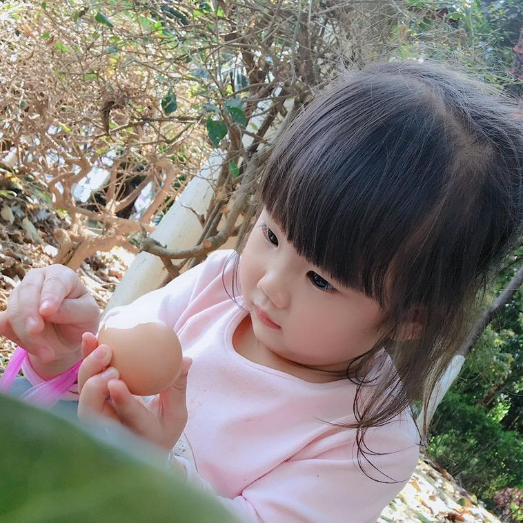 小七做菜