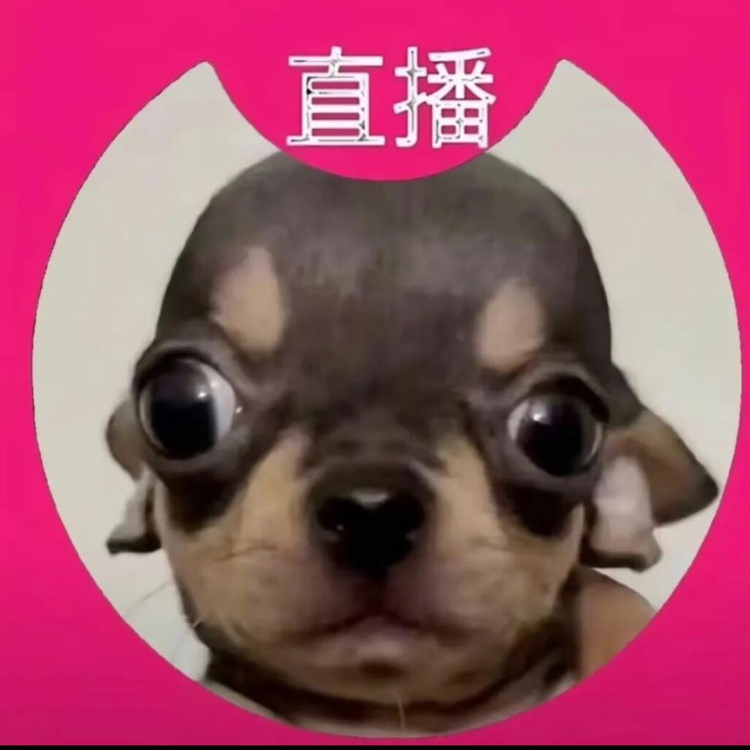 挽风