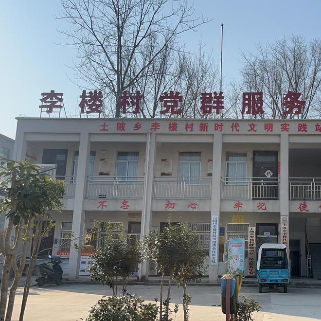 奋进土陂之：牛气李楼