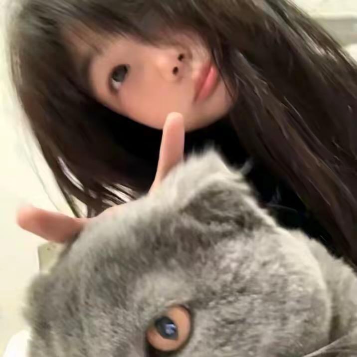 小小毅