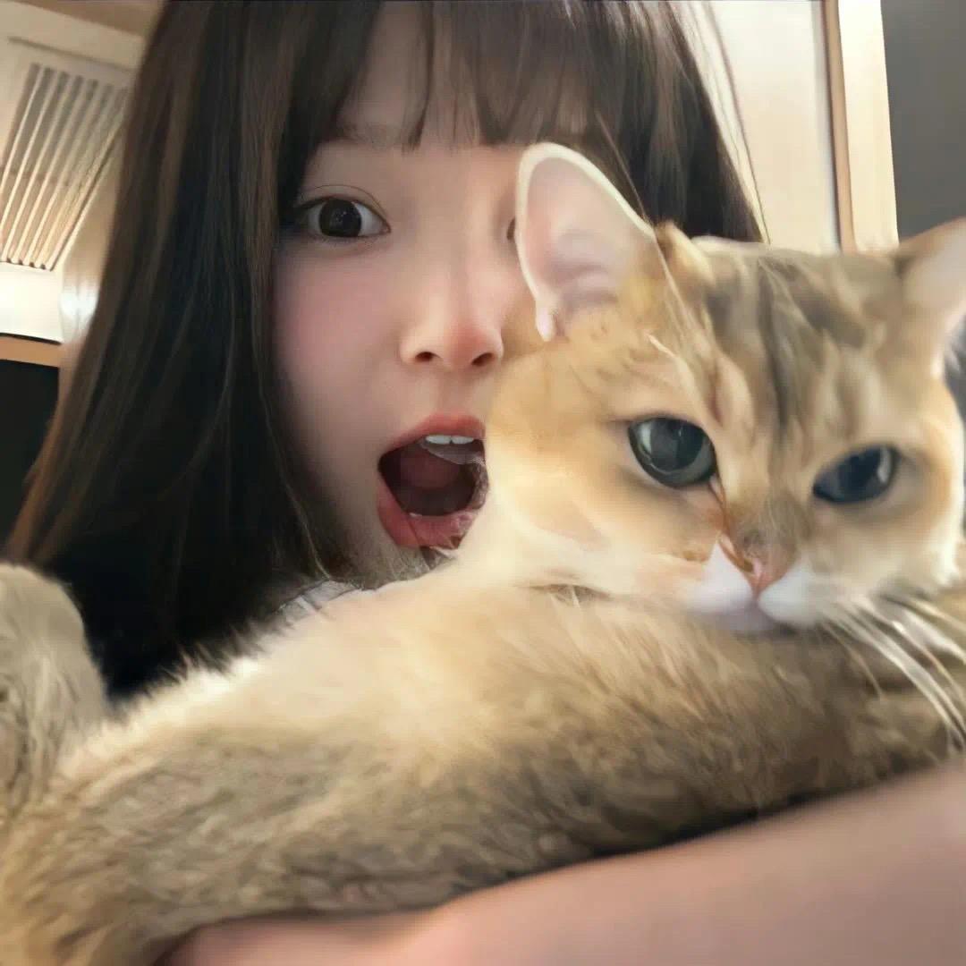 qq7_